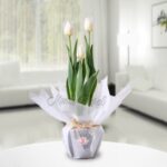 ARREGLO DE CONDOLENCIAS 08