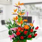 Arreglos Empresariales 11