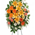 Arreglos Empresariales 14