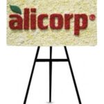 Arreglos Empresariales 16