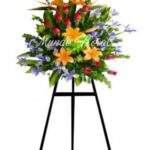 Arreglos Empresariales 21