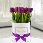 Box de Tulipanes 02