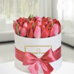 Box de Tulipanes 11