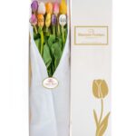 Caja 10 Tulipanes Mixtos