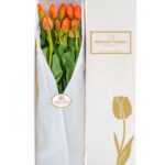 Caja 10 Tulipanes Naranjas