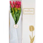 Caja 10 Tulipanes Rojos