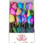 Caja 12 Rosas Arcoiris