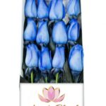 Caja 12 Rosas Azules