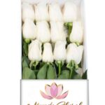 Caja 12 Rosas Blancas