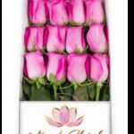 Caja 12 Rosas Fucsias
