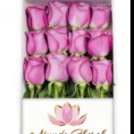 Caja 12 Rosas Lilas