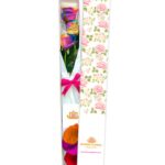 Caja 3 Rosas Arcoiris