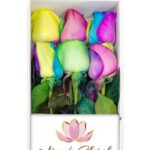 Caja 6 Rosas Arcoiris