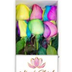 Caja 6 Rosas Arcoiris