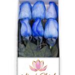 Caja 6 Rosas Azules