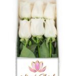 Caja 6 Rosas Blancas