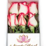 Caja 6 Rosas Blush