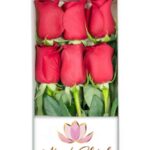 Caja 6 Rosas Rojas