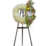 Corona Económica 01