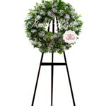 Corona Económica 04