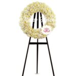 Corona Económica 05