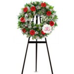 Corona Económica 06