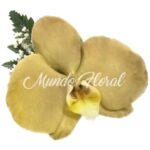 Corsage 07 - Orquidea Dorada