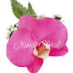 Corsage 08 - Orquidea Fucsia