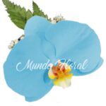 Corsage 10 - Orquidea Celeste