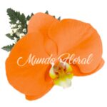 Corsage 11 - Orquidea Naranja