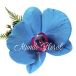 Corsage 13 - Orquidea Turquesa