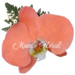 Corsage 14 - Orquidea Coral