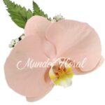 Corsage 16 - Orquidea Palo Rosa