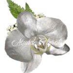 Corsage 21 - Orquidea Plateada