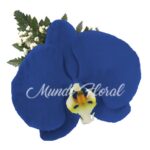 Corsage 22 - Orquidea Azul Marino