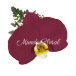 Corsage 24 - Orquidea Guinda