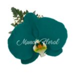 Corsage 25 - Orquidea Verde Cobalto
