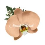 Corsage 26 - Orquidea Nude