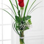 Flores y Detalles 05