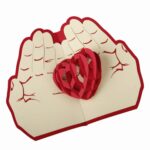 Mi corazón en tus manos