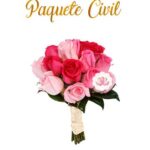 Paquete Civil