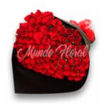 Ramo 100 Rosas rojas