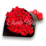 Ramo 50 Rosas rojas
